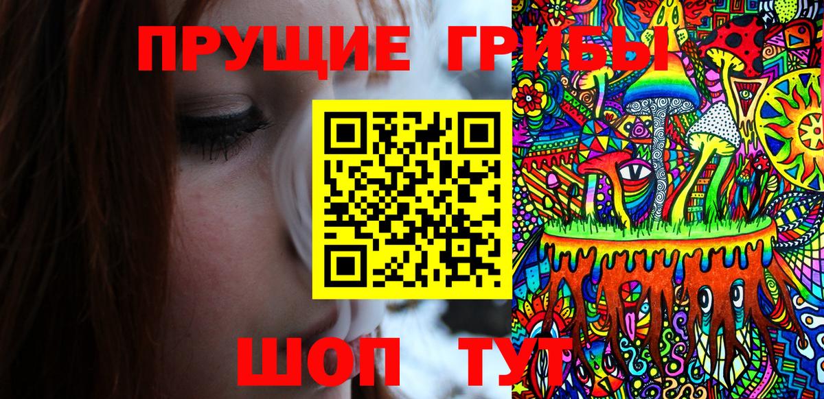 Галлюциногенные грибы Psilocybine cubensis Кунгур